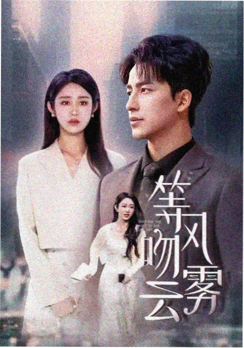 长夜回声剧集条目封面